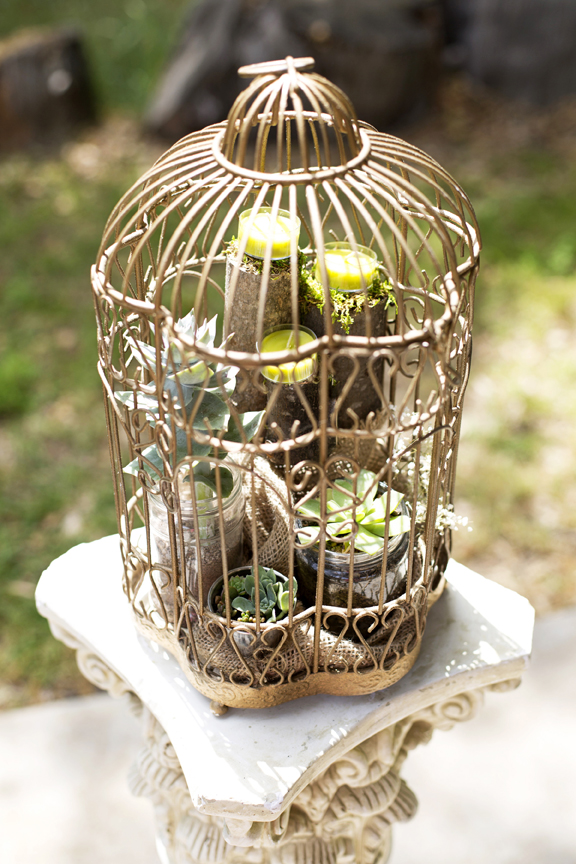 ​succulents and candles in gold birdcage&nbsp;